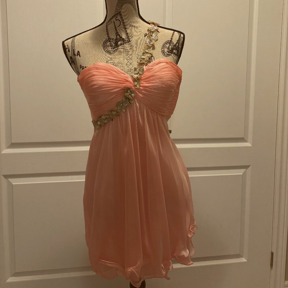 Pink Chiffon Dress with Gold Floral Accents, Open Back and Side Zipper size 0